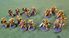 Warhammer 40K Imperial Fist Space Marine army painted Adeptus Astartes Lot A