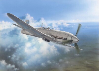 MW22 SPECIAL HOBBY SH32045 HEINKEL HE 100D FLUGZEUG 1/32