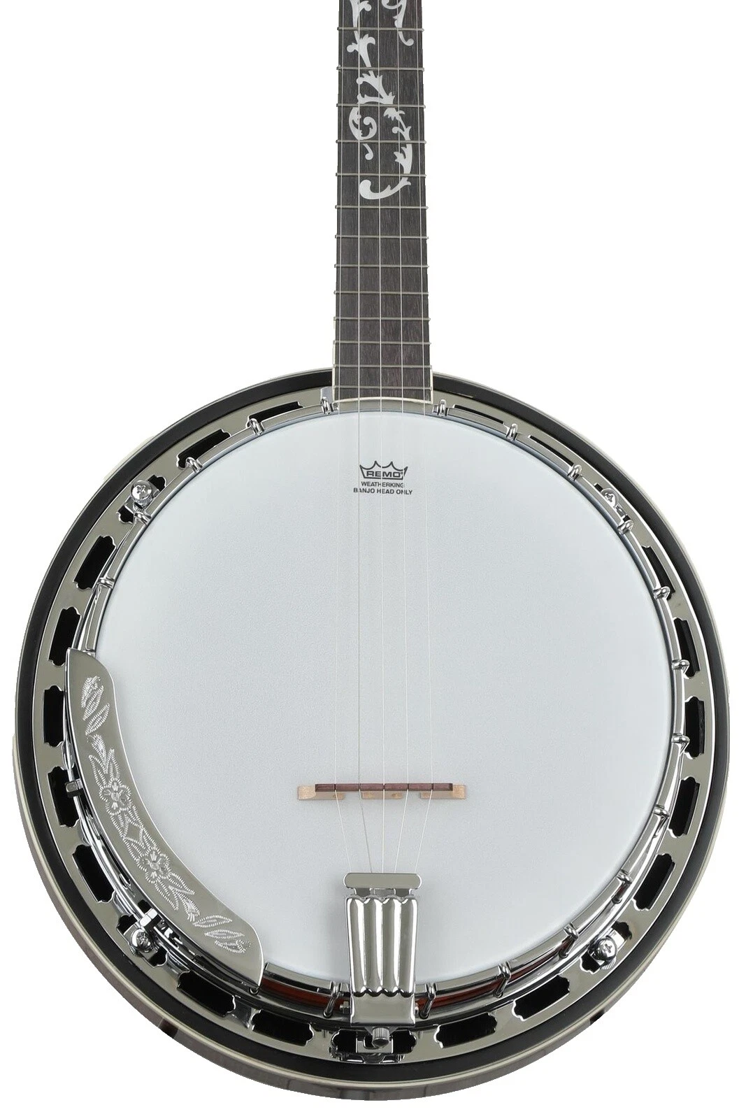 Banjos Ibanez 5 Cuerdas