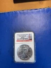 Ngc 2011 – S Silver Eagle Ms 69