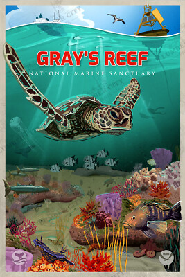 Gray's Reef National Marine Sanctuary System Poster NOAA Oceanic Prints