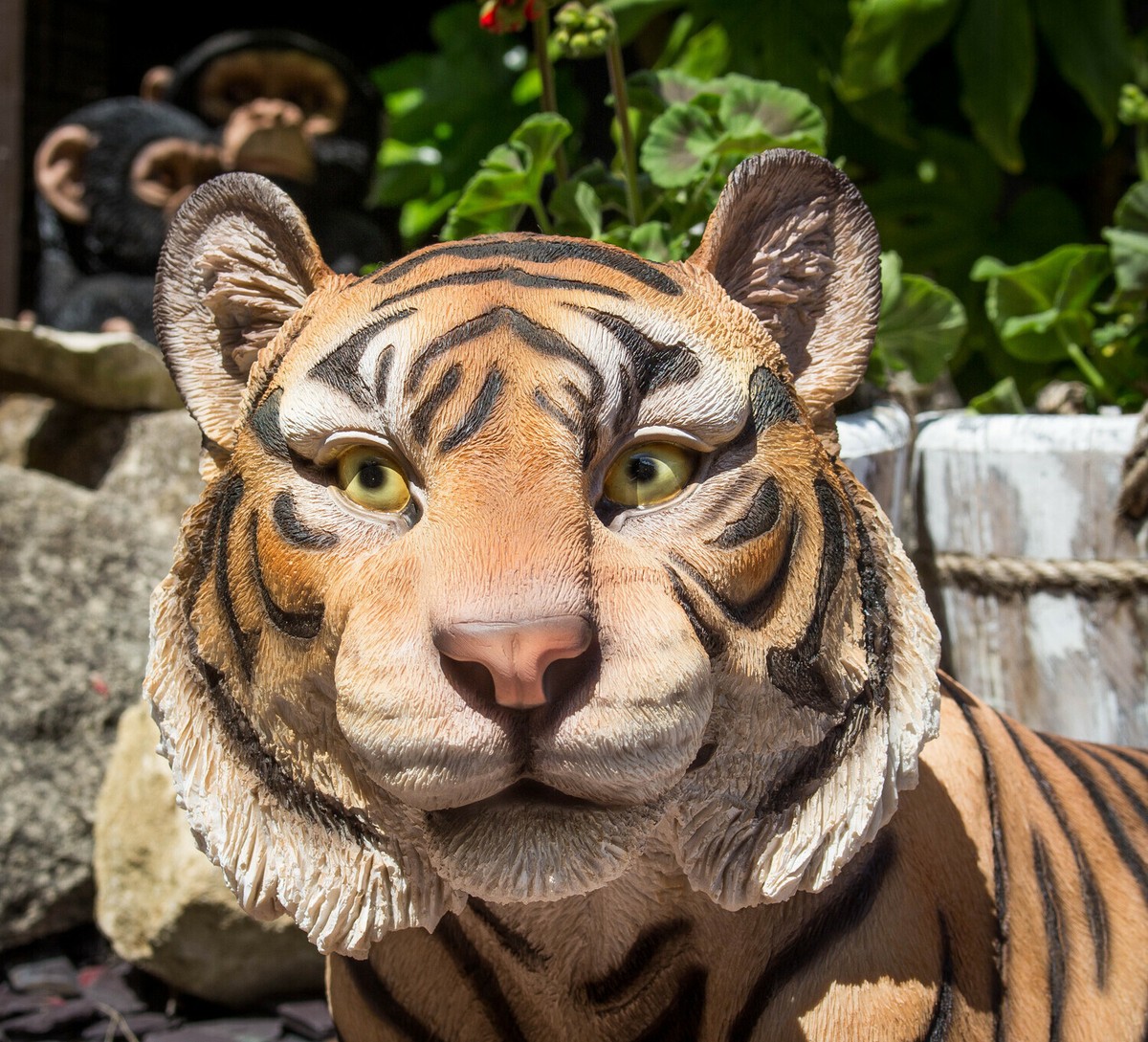 Nel Bosco Addormentato" In Scena A San Demetrio Ne' Vestini - Foto 10