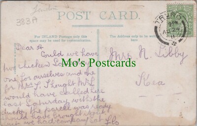 Genealogie Postkarte - Familiengeschichte - Libby - Kea Village, Cornwall 383A