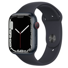 Apple Watch Series 7 45mm Titanium Case with Black Leather Band 