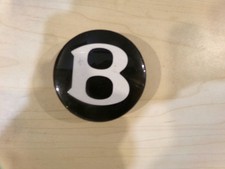 Factory Bentley Center Cap Original Genuine OEM Wheel Small Button B 3W0601170F