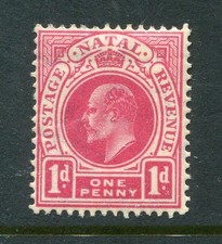 Natal #102 Edward VII 1 P. [Mint Hinged]