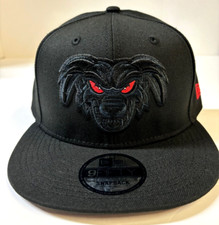 Lake Elsinore Storm MILB NE Copa 2023 Snapbac...