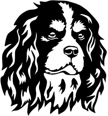 CAVALIER KING CHARLES SPANIEL Aukleber -Autoaufkleber-sticker- Cavalier Kopf#40