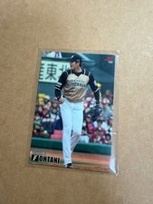 Shohei Professional 2015 Tour