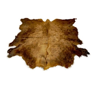 Glacier Wear First Quality Buffalo Bison Robe/Hide/Rug #1756