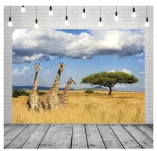 Fabric 7x5ft Kilimanjaro Giraffe Backdrop Africa Safari Background.   (AC).