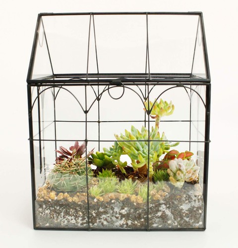 Glass Geometric Plant TerrariumSucculent & Air Planter for Home Garden Office... - Picture 6 of 7