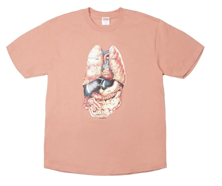 Tee shirt en terre cuite Supreme Guts Organs taille L encore en plastique NEUF