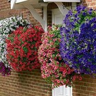 12" SET OF 4- BLACK HANGING BASKETS FOR PLANTS FLOWERS HANGING GARDEN OUTDOOR