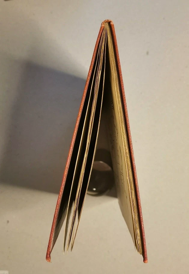 RARISSIME - LA COMÈTE, JOURNAL ENFANTIN, IMPRIMÉ, MANUSCRIT - 1881 à 1884 -e3 - Photo 4/4