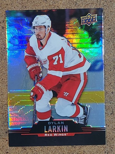 2020 Dylan Larkin #71
