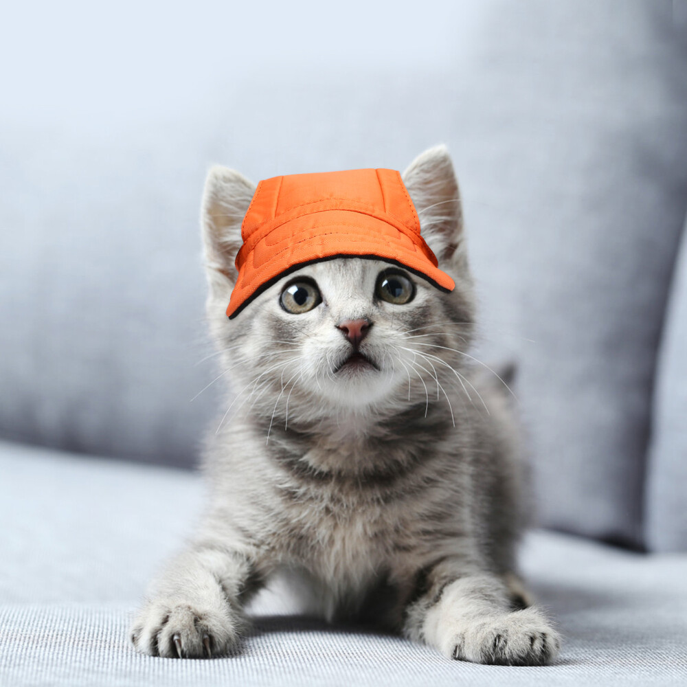 Pet Baseball Cap Canvas Dog Hat Propeller for Dogs Bunny Balaclava eBay