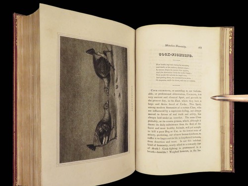 1818 HUNTING 1ed Field Sports Fishing Horse & DOG Fowling Racing FINE BINDING - Picture 24 of 24