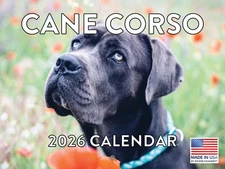 Cane Corso Calendar 2026 Monthly