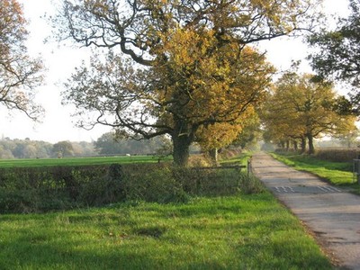 Photo A2 The access to Bankside & Fields Farms Darnhall  c2011