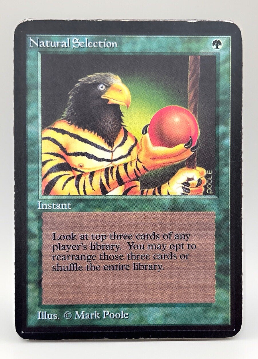 MTG Natural Selection Alpha MP Moderately Played Green Rare Magic Edge Wear