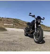 benelli leoncino 500 trail