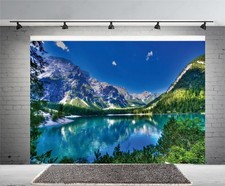 10x8ft Green Natural Mountain Lake Backdrop Green Mountains Clear Lake Trees ...