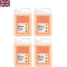 Effective 100%  Washing Liquid 4x5L - Rhubarb & Lemon for Gleaming Dishes 2.40 per litre