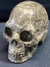 Coral Fossil Rock Crystal Skull Hand Carved 