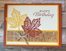 Birthday GREETING CARD KIT x4 Env  Stampin Up Gorgeous Leaves Masculine