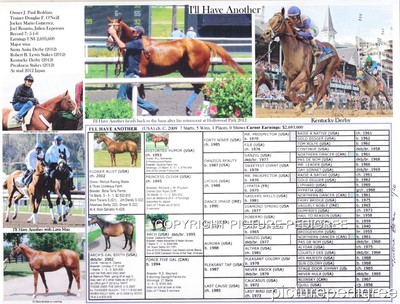 11 X 8.5 Race Horse Racing I'LL HAVE ANOTHER  Kentucky Derby wi picture pedigree