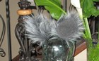 Bild 7 von 11
