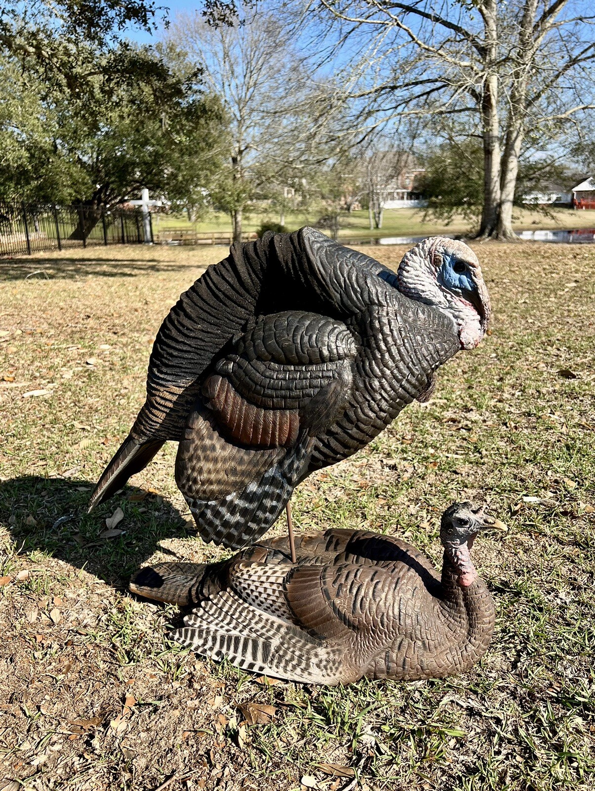 Dave Smith Decoy Turkey Breeding Pair DSD eBay