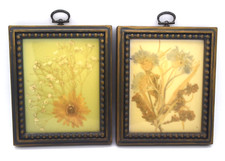 Pair of Vintage Pressed Dried Flowers Matching Frames Wall Art Framed Decor 5x7