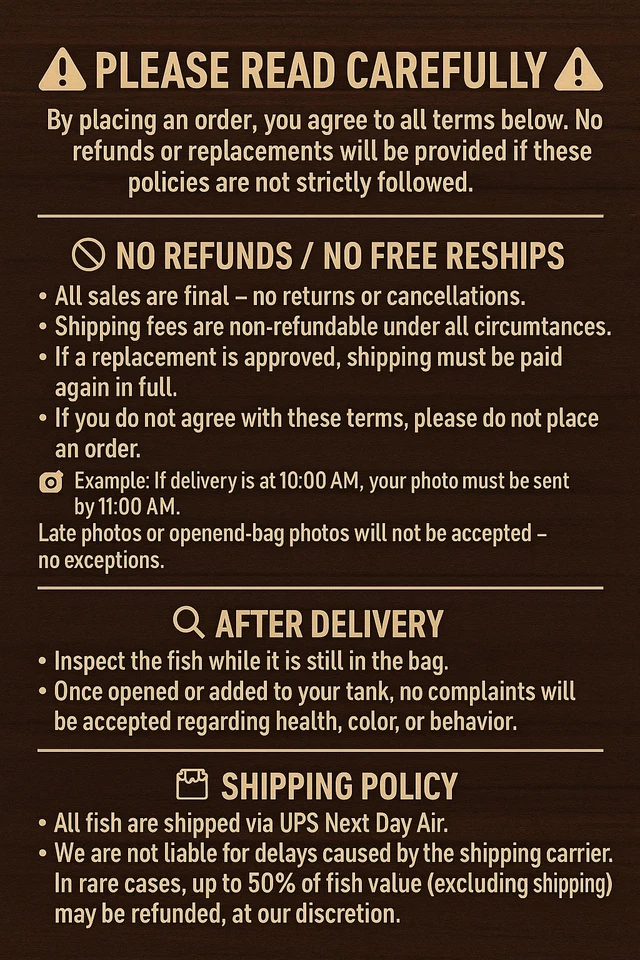 Pack de 3 Peces Disco Vivos 4" - Peces de Acuario Vibrantes - Envío Durante la Noche Foto 2 de 2