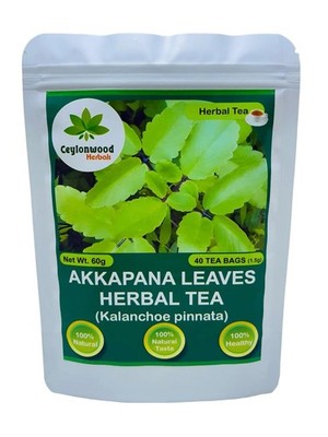 Organic Kalanchoe pinnata Leaves Tea, miracle leaf air plants Bryophyllum Pin...