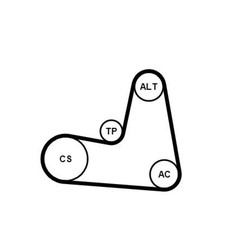 Continental Ctam Keilrippenriemensatz 7PK1125K1