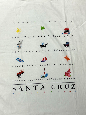 VTG Santa Cruz T-Shirt Adult Extra Large White Surf Y2K 90's Hanes