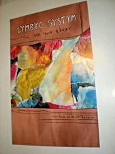 POSTER - LYMBYC SYSTEM love your abuser promo / the band Z