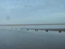 Photo 6x4 Lost pipeline Knott End-on-Sea These structures way out in Mor c2006