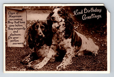 Tiere: Hunde. Spaniels. Unbestellte Postkarte.