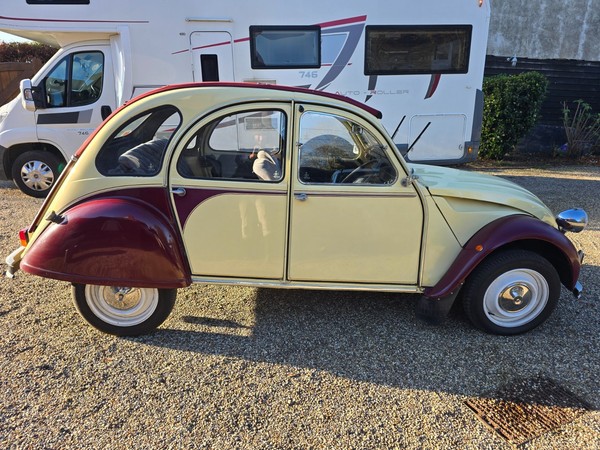 Image Placeholders2_edited.jpg