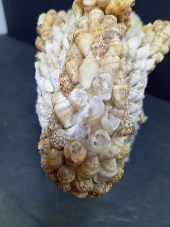 ❤️ Estatuilla grande de colección elefante cubierta con conchas necesita conchas reemplazadas VER FOTOS Foto 4 de 4