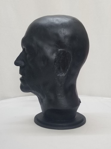 Tyler Mane Full Head Life Mask Bust Rob Zombie Halloween Michael Myers 2007 - Picture 3 of 4