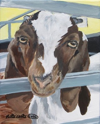 Goat, farm animals, original art, acrylic painting on canvas, 8x10 inches