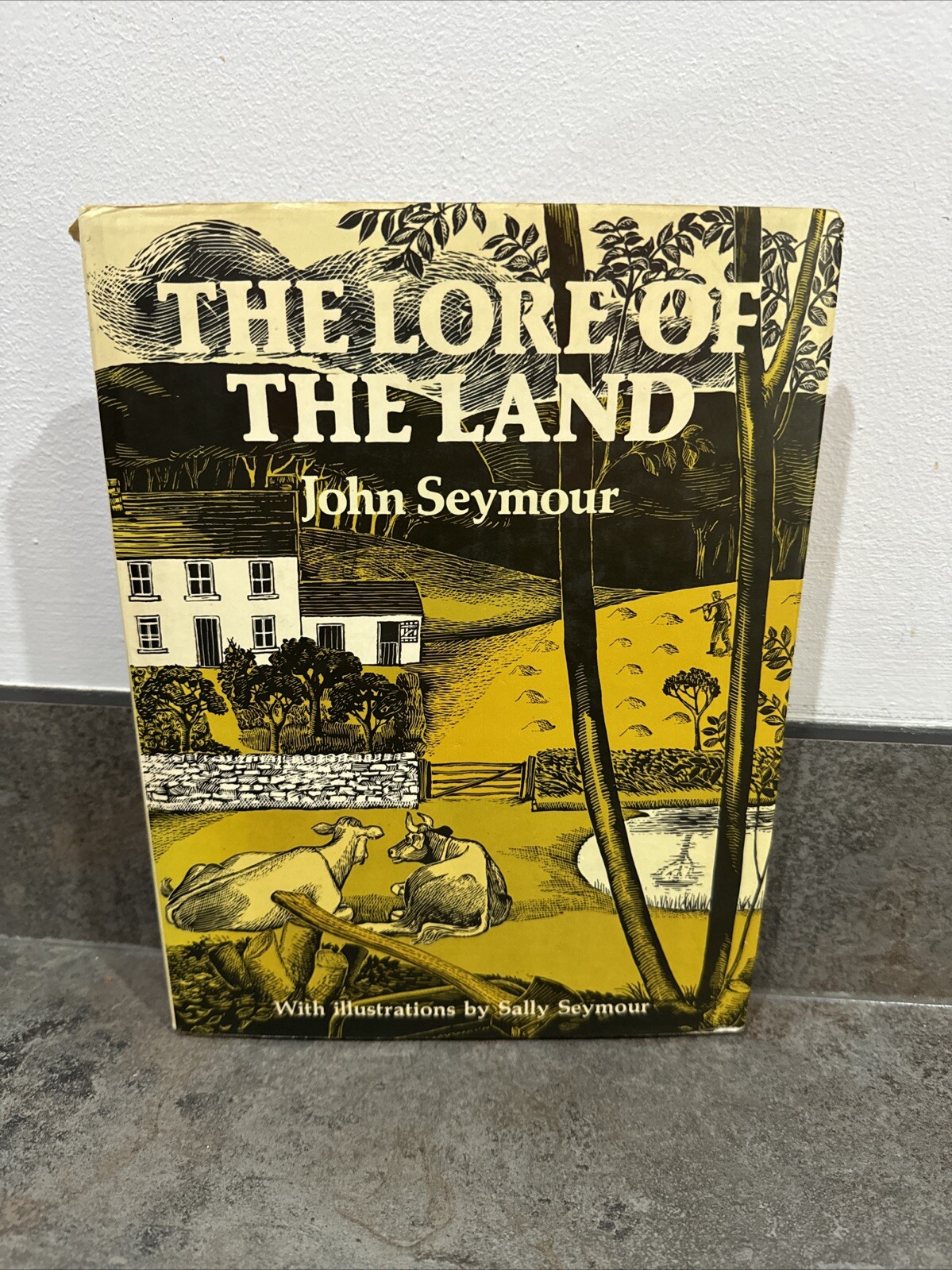 Lore of the Land by John Seymour (Hardcover, 1982)