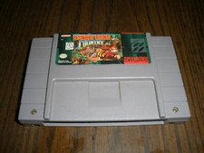 Donkey Kong Country (Super Nintendo Entertainment System 1994) WORKS