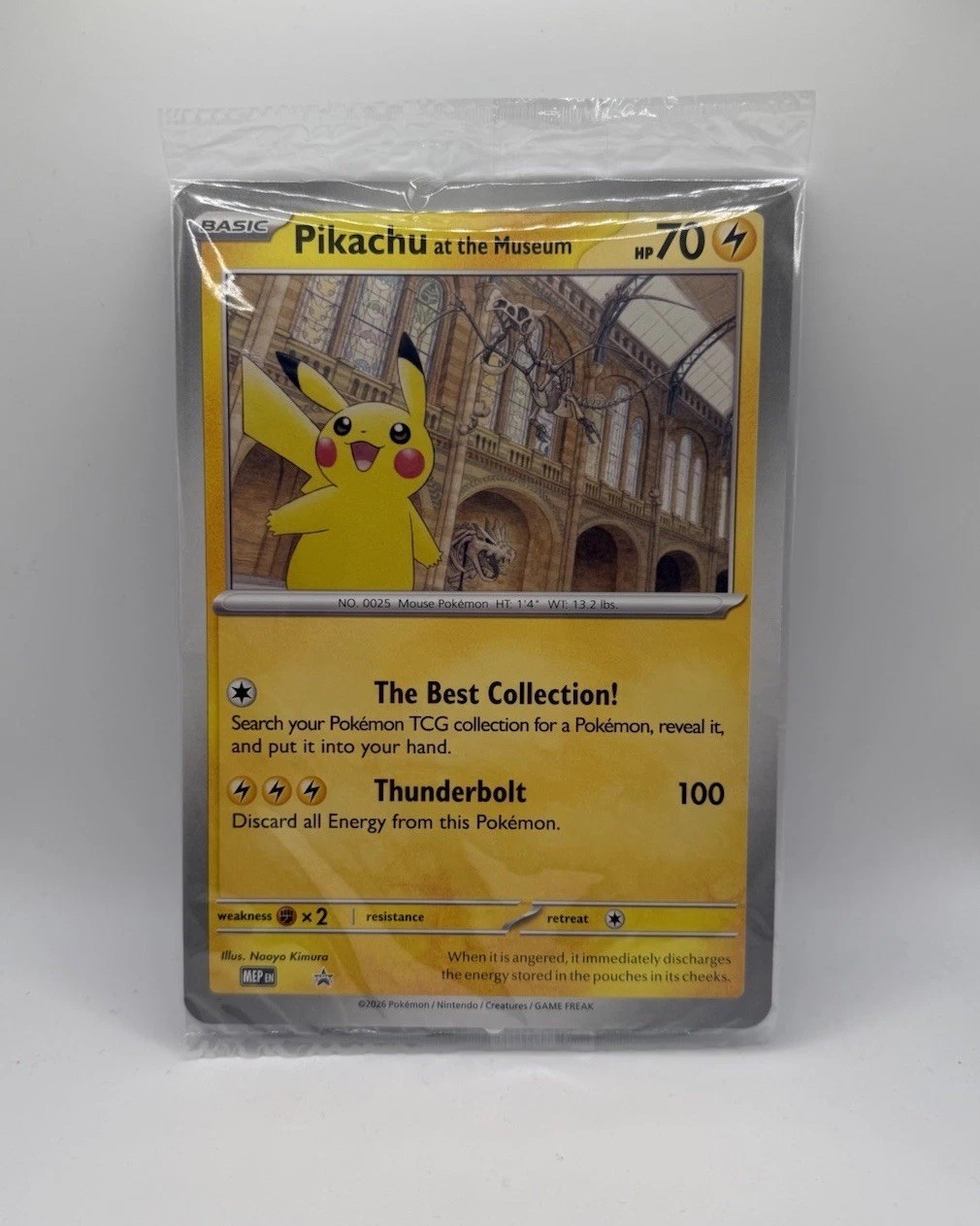 Pokémon TCG Pikachu At The Museum Promo Card - New & Sealed ✅