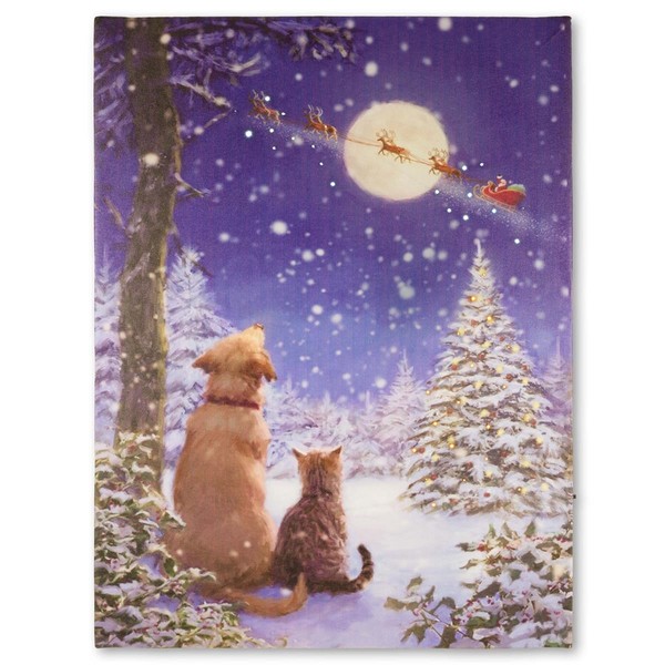 "Leinwand Mit Beleuchtung \"Weihnachtswunder\" Inklusive Timer Und LED 30X40 Cm"-image