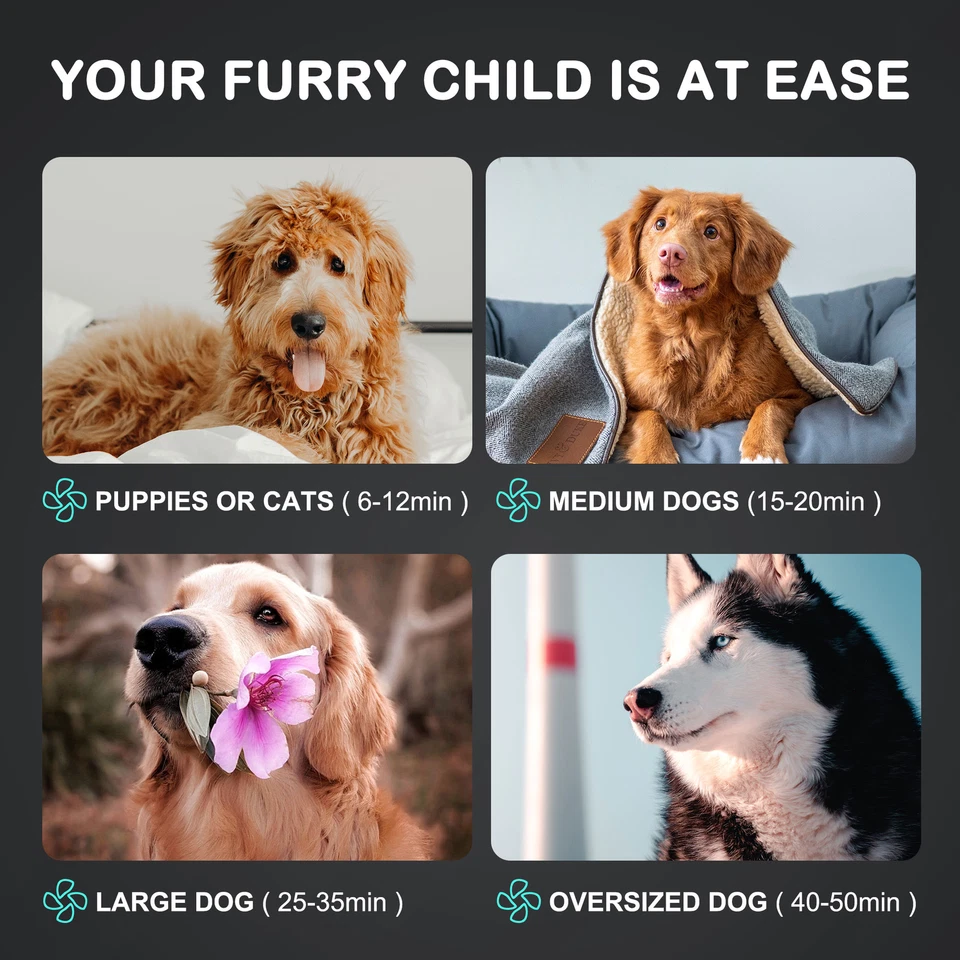 Secador de pelo silencioso para aseo de mascotas 2400 W soplador soplador 3,2 HP para perros y gatos Foto 2 de 4